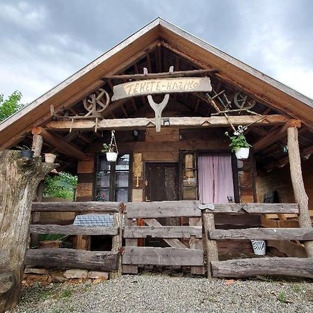 Casa Rustic Fehér&Fekete Vendégházak Sovata Exterior foto