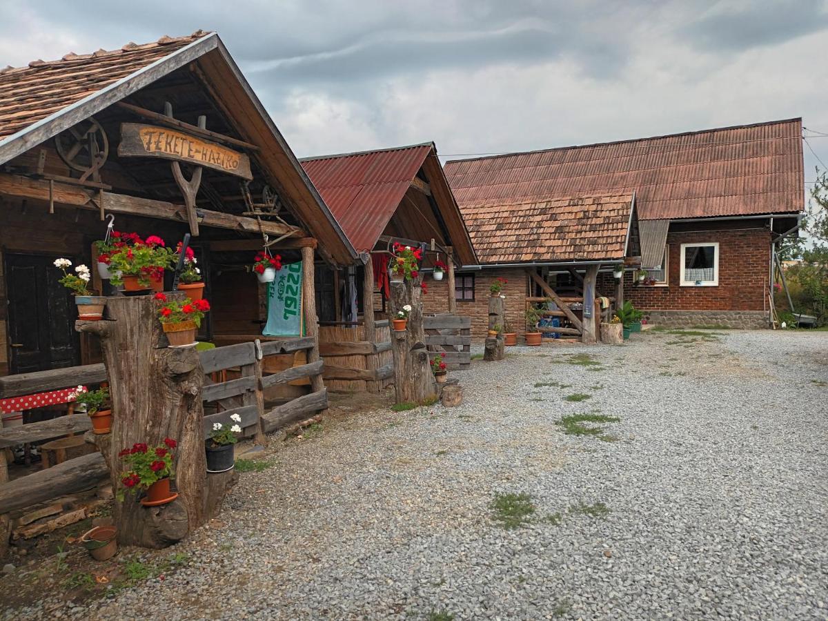 Casa Rustic Fehér&Fekete Vendégházak Sovata Exterior foto